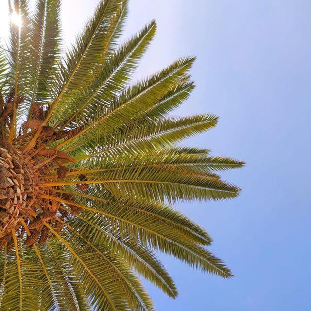 البوفيرا Apartamentos Borda D'Agua المظهر الخارجي الصورة
